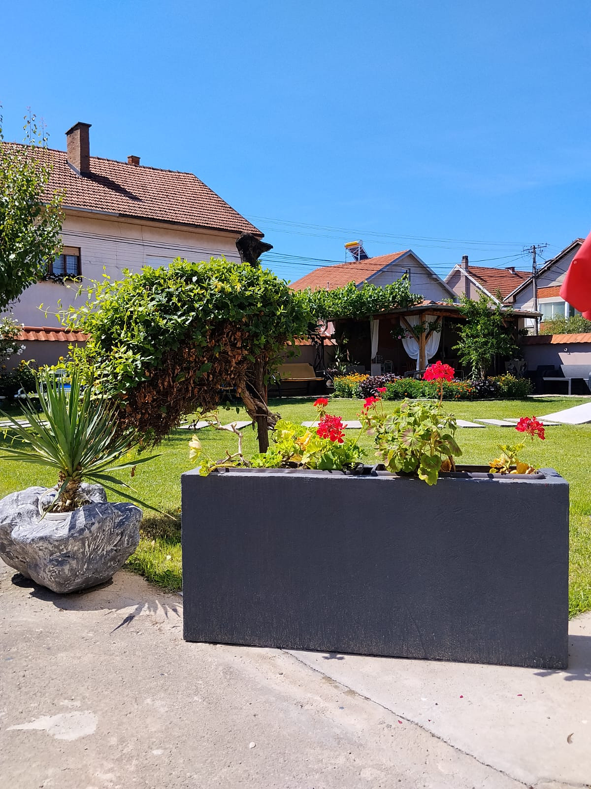 Izdužena žardinjera sa geranijumima u dvorištu kupca